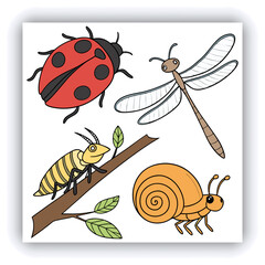 Watercolor dragonfly set png. Realistic watercolor dragonfly on transparent background. Watercolor insects. Nature and botany concept. Vector illustration.