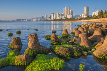 seaside embankment and green moss beach in Nha Trang city with skyscrapers in Vietnam