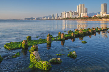embankment and green moss beach in Nha Trang city with skyscrapers in Vietnam