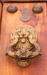 Vintage door knocker on brown wooden door