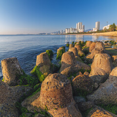 embankment and green moss beach near sea in Nha Trang city with skyscrapers in Vietnam