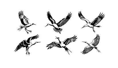 Crane Vector Sheet 2025