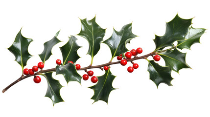 Holly made of red berries, a Christmas clip art design, holly clip art, Christmas holly clip art made of red berries, red berry holly clip art for Christmas, on a transparent backgrounds