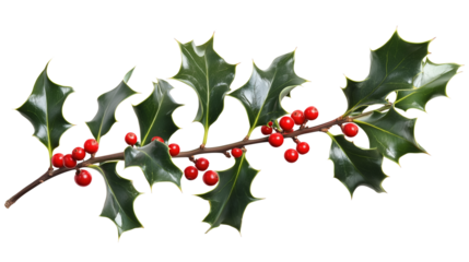 Holly made of red berries, a Christmas clip art design, holly clip art, Christmas holly clip art made of red berries, red berry holly clip art for Christmas, on a transparent backgrounds