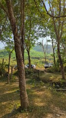 Serene Countryside Parking Amidst Green Hills and Trees