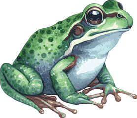 Watercolor realistic vector illustration of a frog