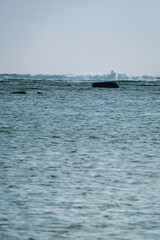 Fototapeta premium 奄美大島_土盛海岸