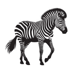 zebra vector illustration