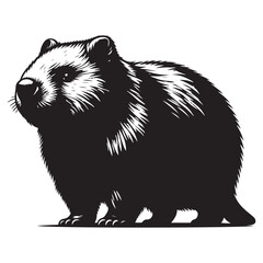 bear vector illustration