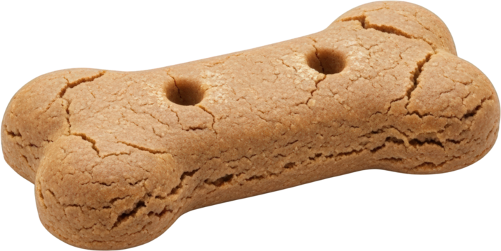Single brown bone shaped dog biscuit textured surface two holes isolated on