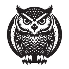 owl on white background