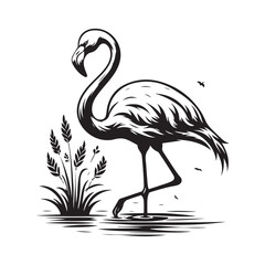 illustration of a flamingo