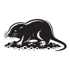 vector image of a cat