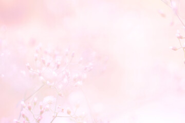 Beautiful nature view of green leaf on blurred greenery. Natural green leaves background, fresh wallpaper concept, among green leaves and other blossom blur background for text.