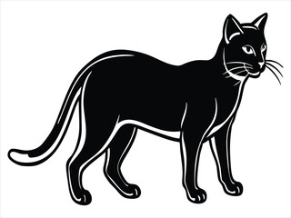 Vector art of a black cat with alert gaze and defined lines. Use in Halloween designs, pet shops, or editorial graphics.