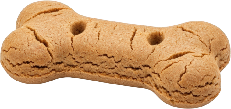 Single brown dog biscuit bone shaped textured surface isolated boneshaped