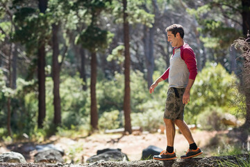 Fototapeta premium Fallen tree trunk resting on uneven pine forest floor with scattered rocks and sunlit underbrush