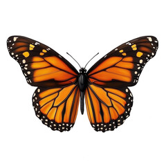 Fototapeta premium monarch butterfly illustration on white background