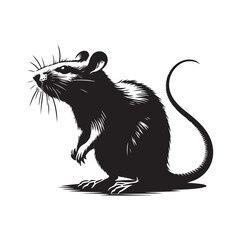 vector image of a cat