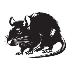 vector illustration of a squirrel