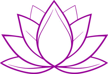lotus flower vector illustration transparent 