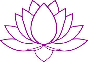 lotus flower vector illustration transparent 
