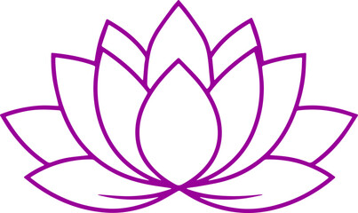 lotus flower vector illustration transparent 