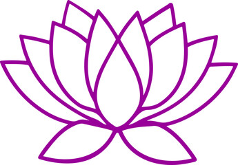 lotus flower vector illustration transparent 