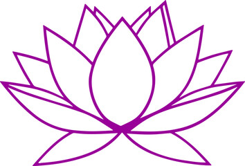 lotus flower vector illustration transparent 