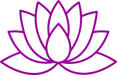lotus flower vector illustration transparent 