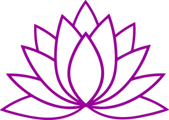 lotus flower vector illustration 