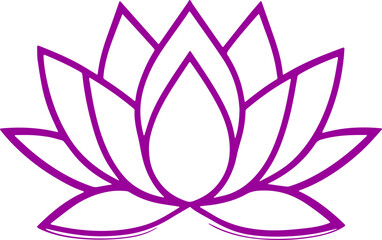 lotus flower vector illustration transparent 