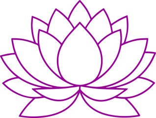 lotus flower vector illustration 
