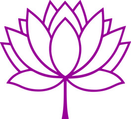lotus flower vector illustration transparent 