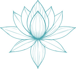 lotus flower vector illustration transparent 