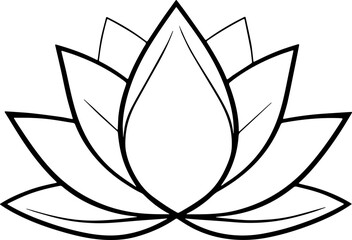 lotus flower vector illustration 