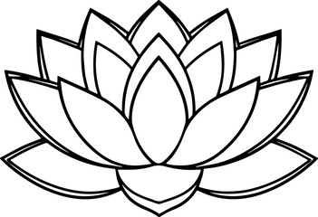 lotus flower vector illustration 