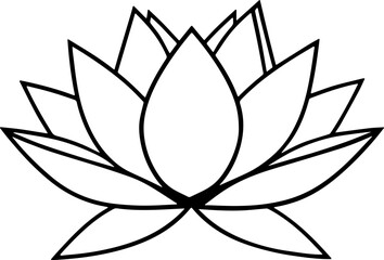 lotus flower vector illustration 