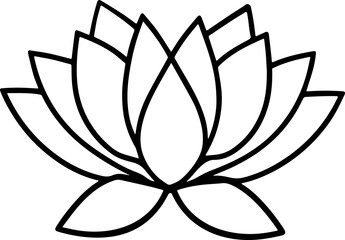 lotus flower vector illustration 