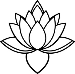 lotus flower vector illustration 