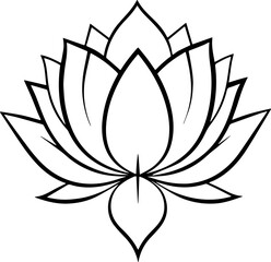 lotus flower vector illustration 