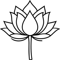 lotus flower vector illustration 
