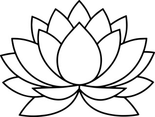 lotus flower vector illustration 