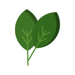 Leaf Vector Icon