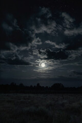 Fototapeta premium night sky with clouds and moon