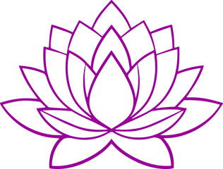 lotus flower vector illustration transparent 