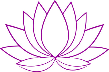 lotus flower vector illustration transparent 