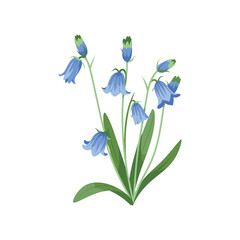 Digital Illustration of Delicate Bluebell Flowers on White Background