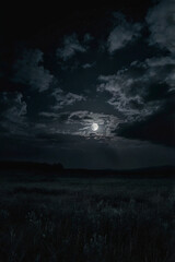 Fototapeta premium night sky with clouds and moon