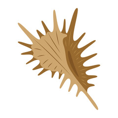 cartoon seashell isolated